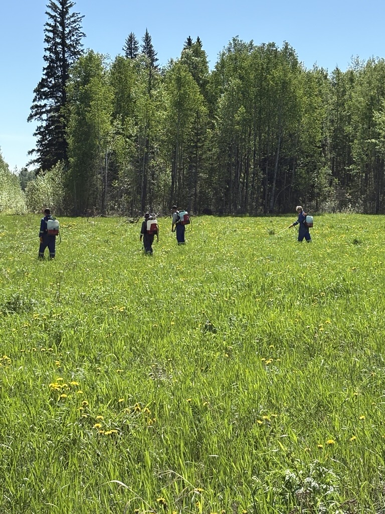 Bare Ground Application