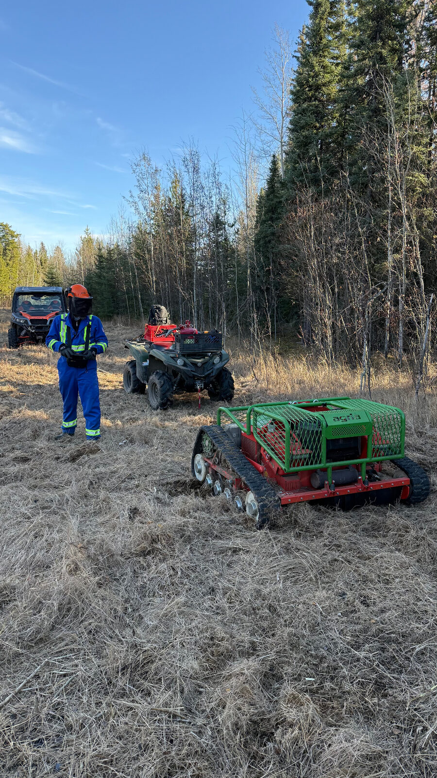 Brush Cutting & Clearing