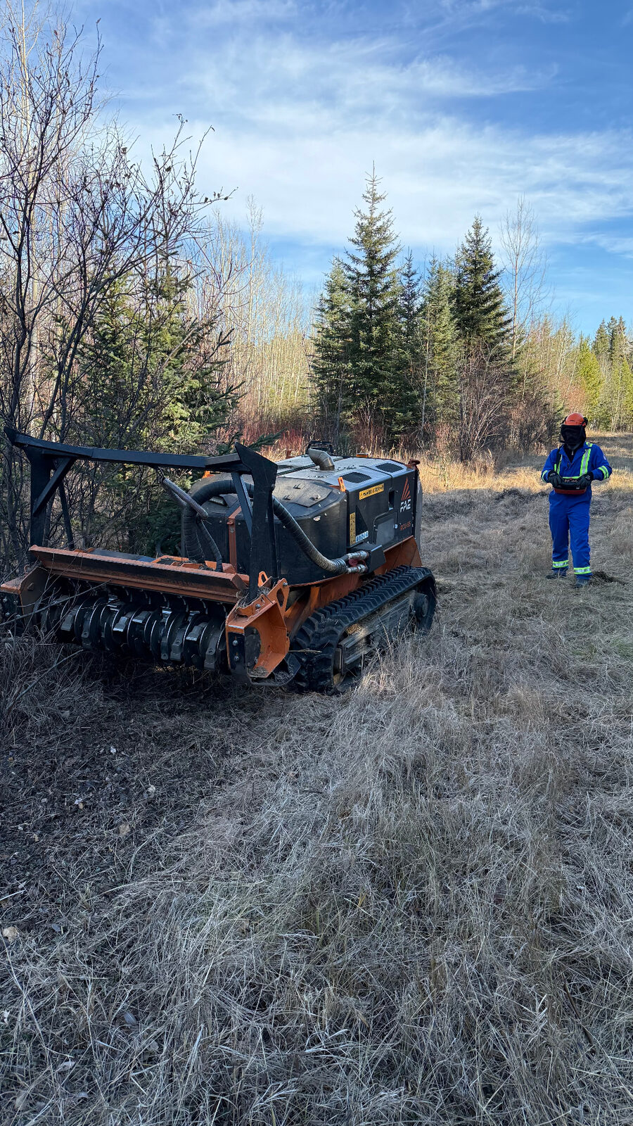 Mulching & Corridor Clearing