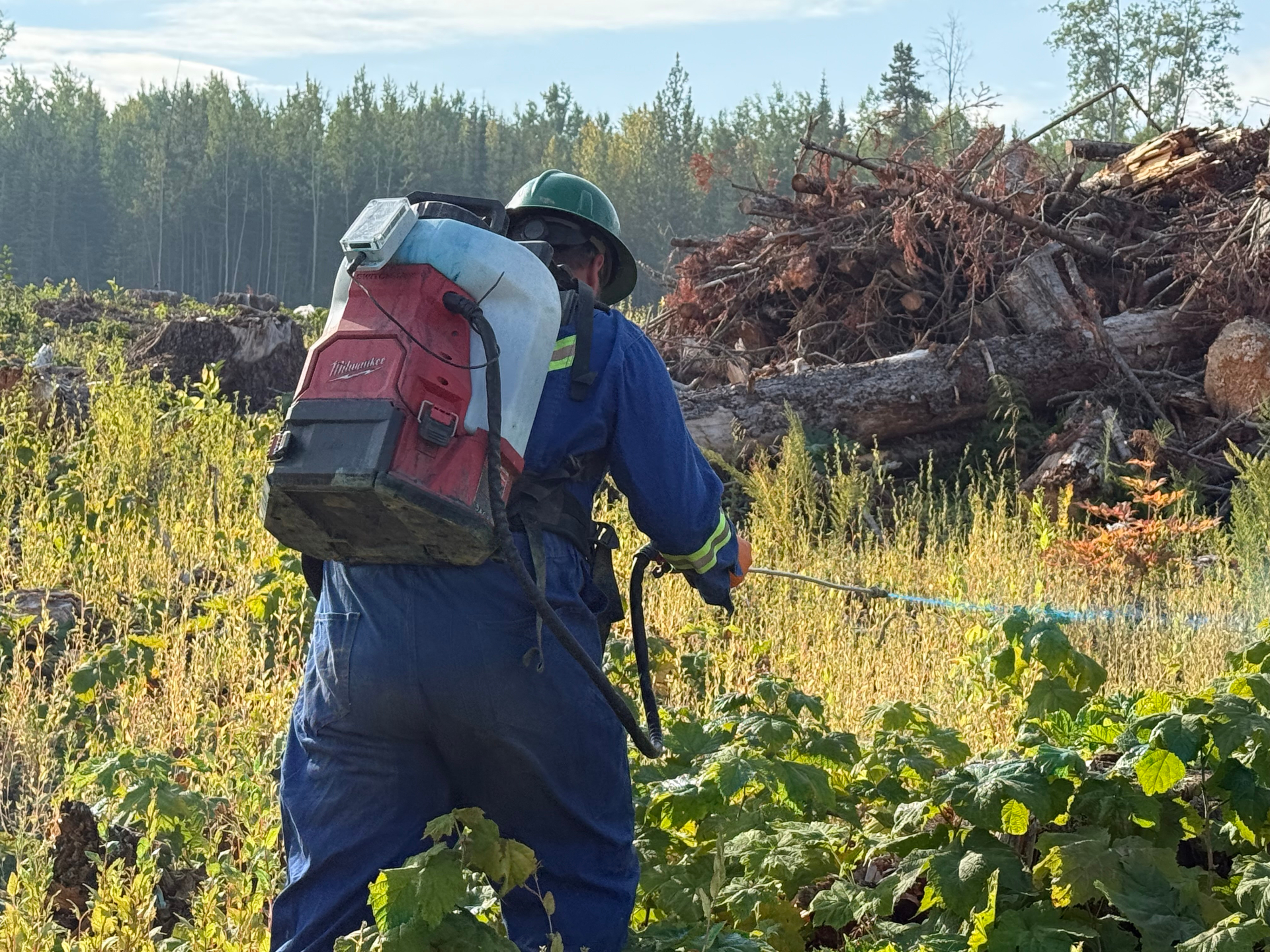 Herbicide Application