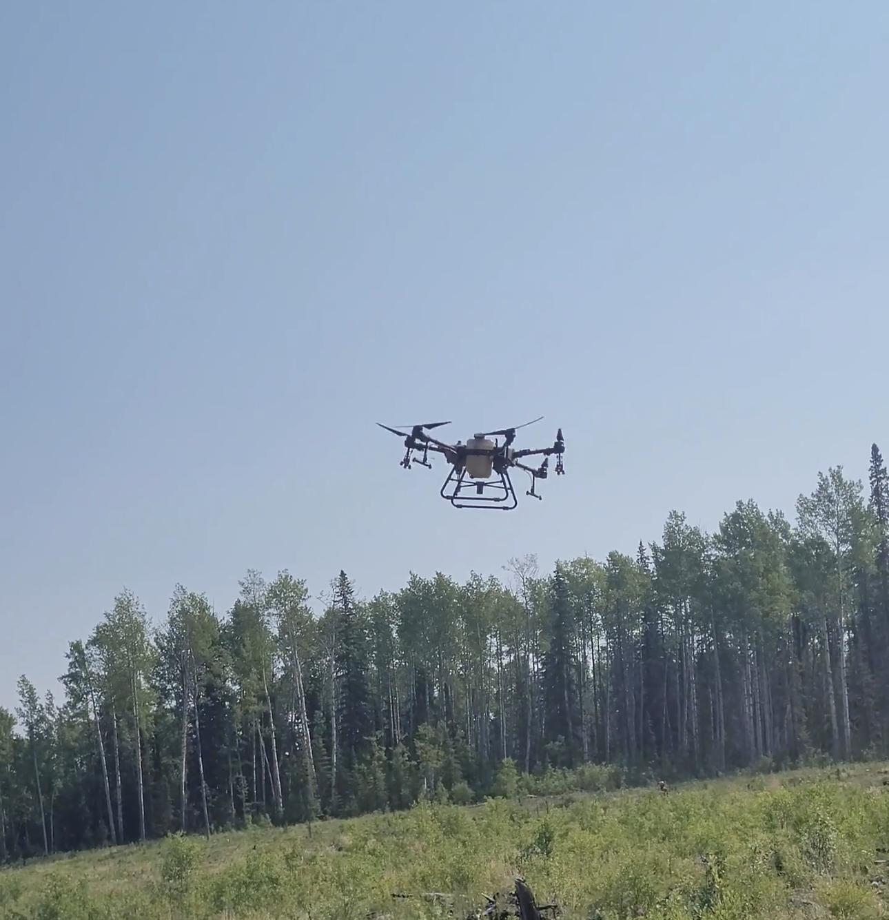Drone & GIS Services