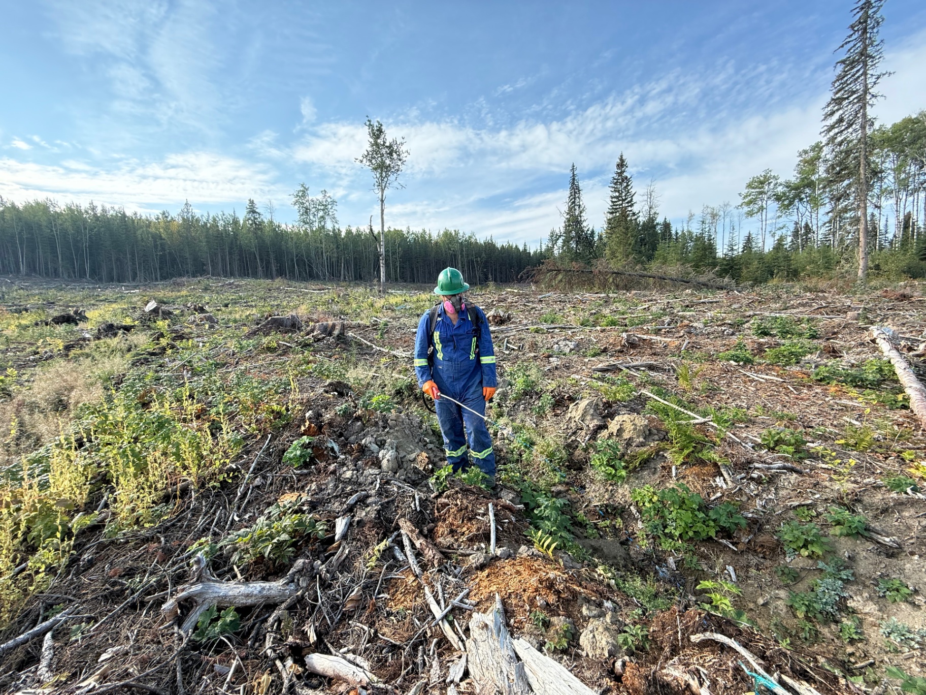 II North applicator performing herbicide treatment in cleared forestry corridor
